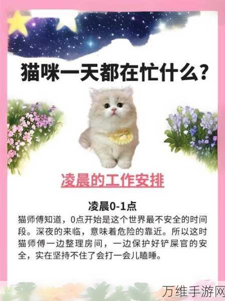 时间猫，萌趣猫咪主题解谜之旅