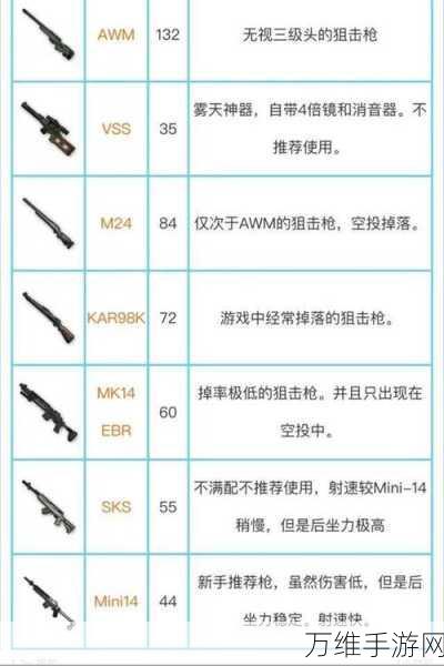 绝地求生武器指南，全枪械深度剖析与使用绝技