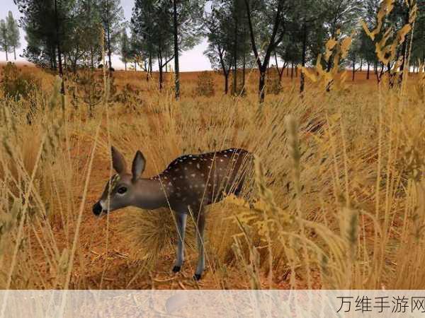 猎鹿弓箭手，最新版狩猎盛宴等你来战