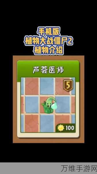 芦荟医师,植物大战僵尸中的治愈新星,解锁战场反转秘籍