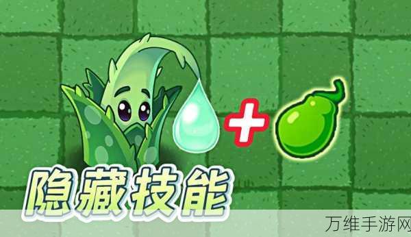 芦荟医师,植物大战僵尸中的治愈新星,解锁战场反转秘籍