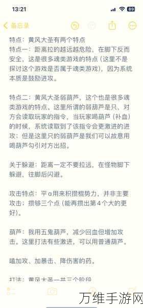 黑神话,悟空葫芦道具深度解析与使用攻略