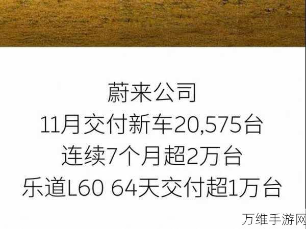 手游市场11月新势力销量大揭秘,理想稳居榜首却暗藏压力,零跑异军突起黑马之势无人能挡